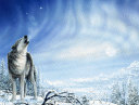 snowy scene of lone wolf howling into the wind--another very popular background for Leader thank you plaques